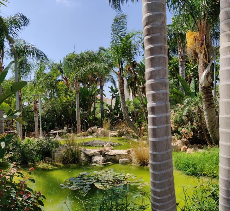Garden Luxury Apartment Ayia Napa Exteriör bild